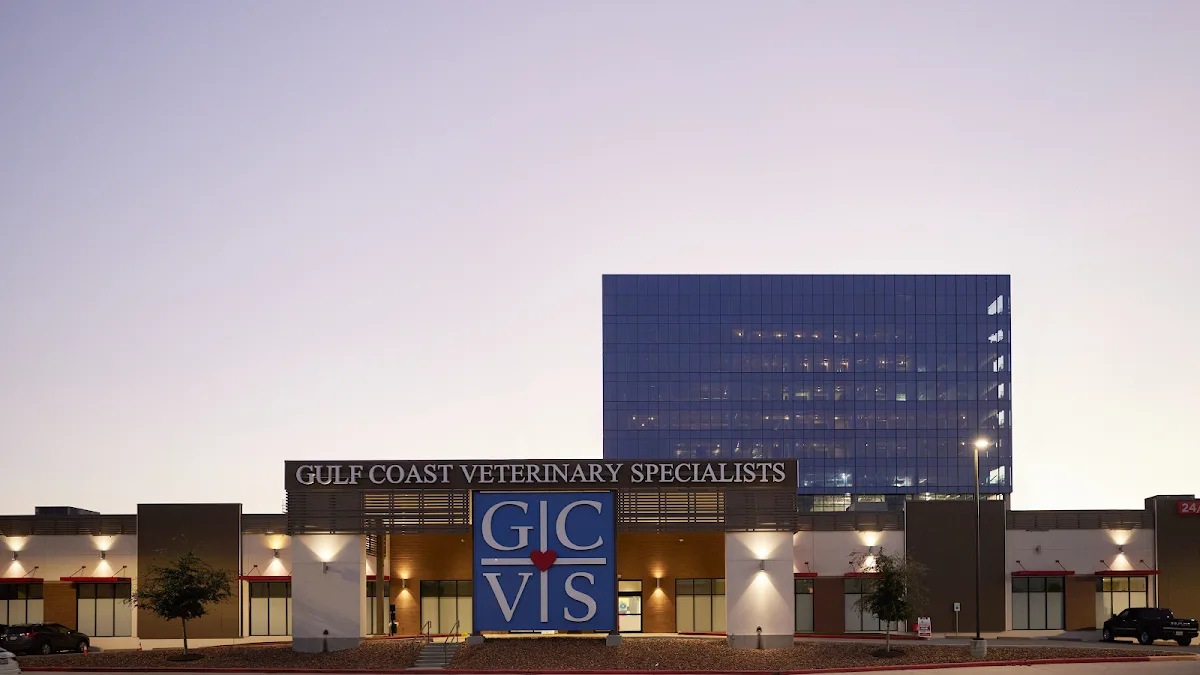 Gulf Coast Veterinary Specialists (GCVS)