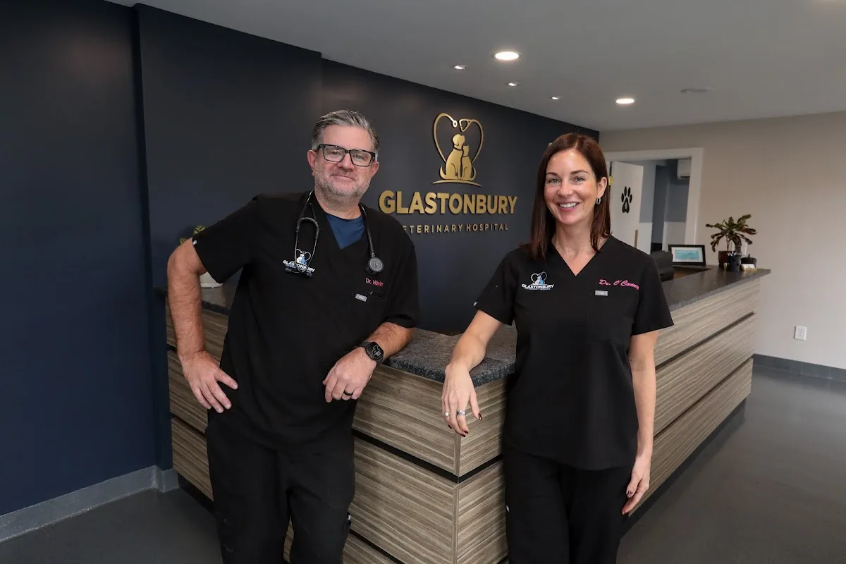 Hallisey Patrick J DVM