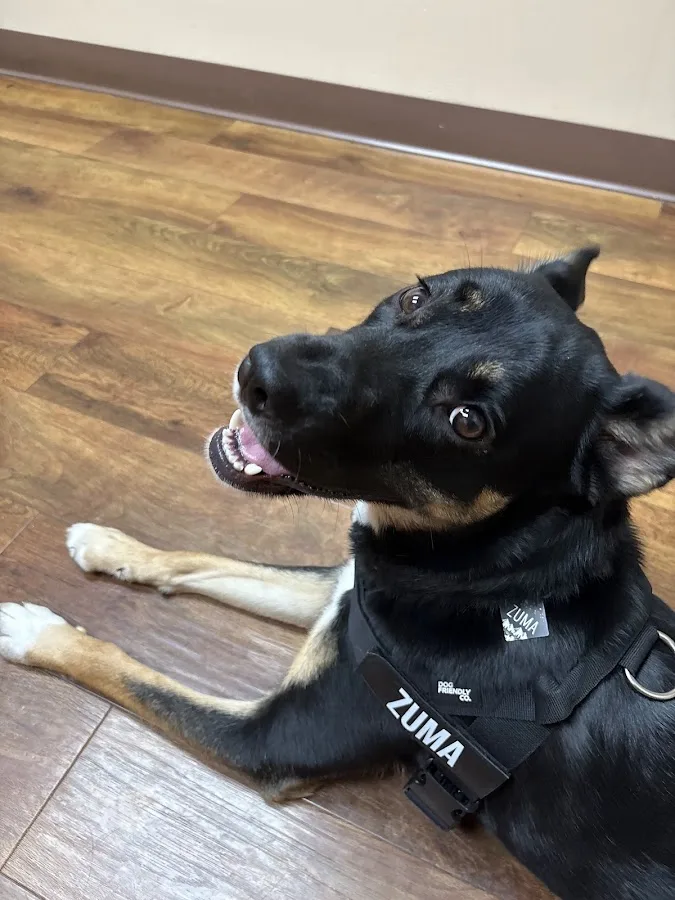 Hannah Pet Hospital and 24/7 Emergency Vet Clinic