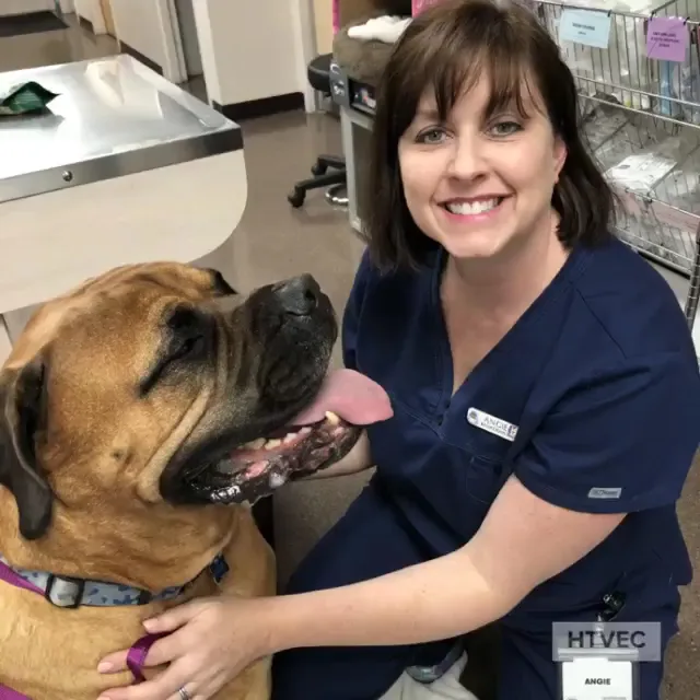 Happy Tails Veterinary Emergency Clinic