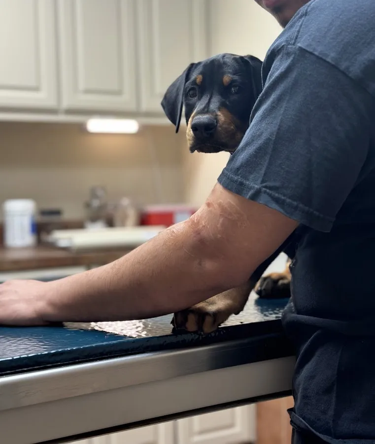 Hillside Veterinary Clinic