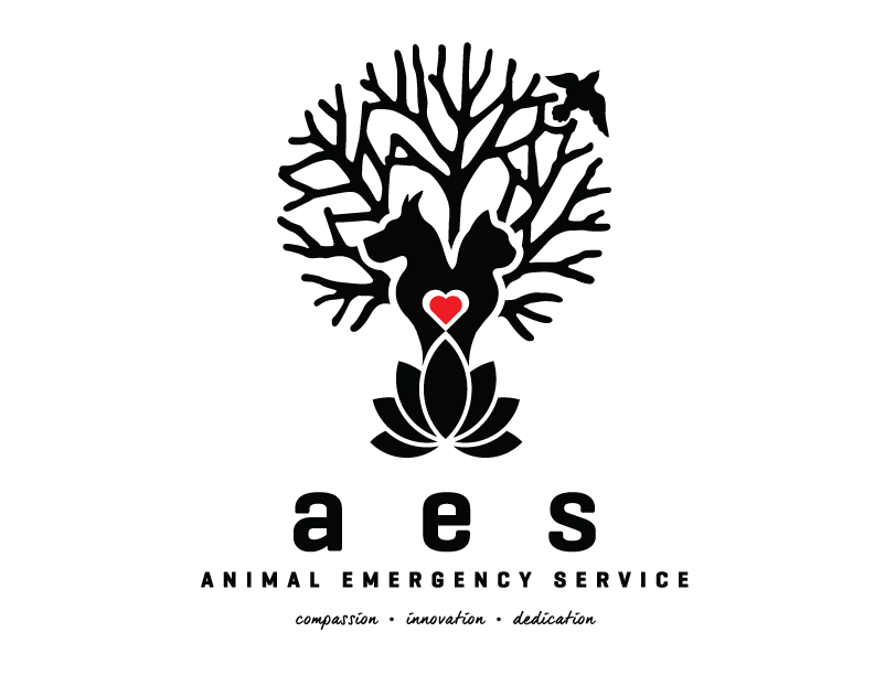 Holbrook Animal Emergency