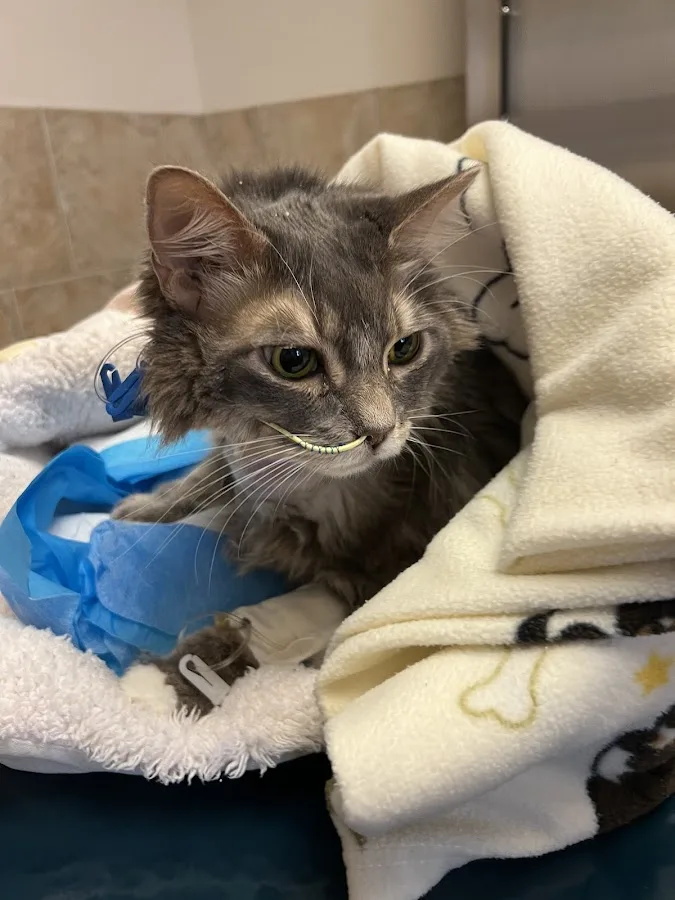 Hope Advanced Veterinary Center