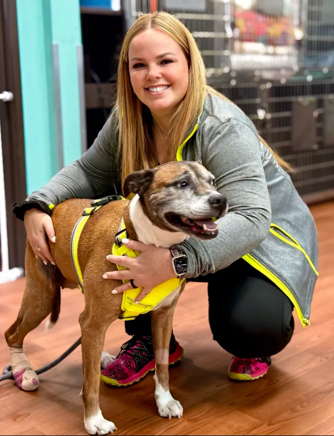 I-20 Animal Medical Center primary photo