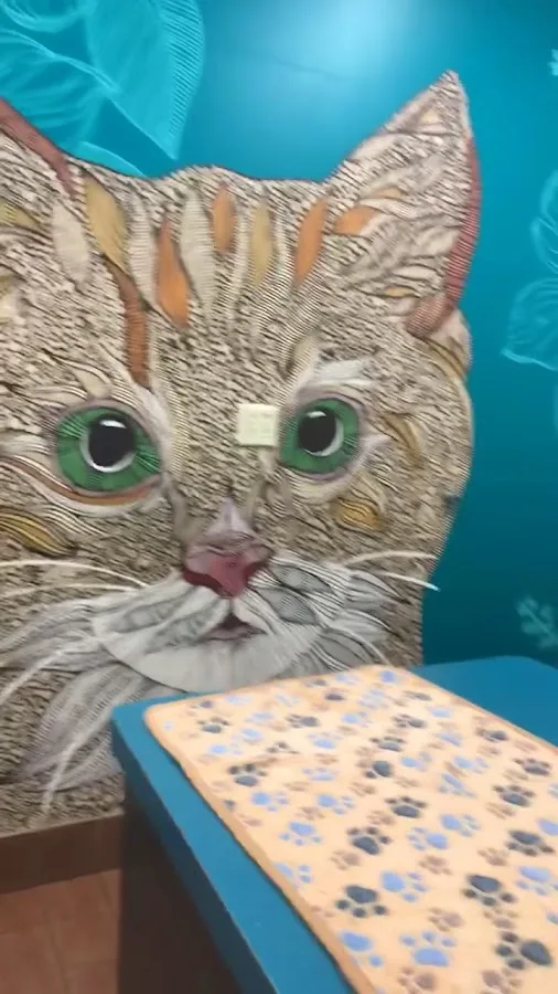 I-20 Animal Medical Center