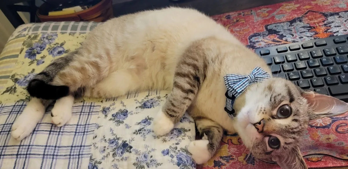 IndyVet Emergency & Specialty Hospital