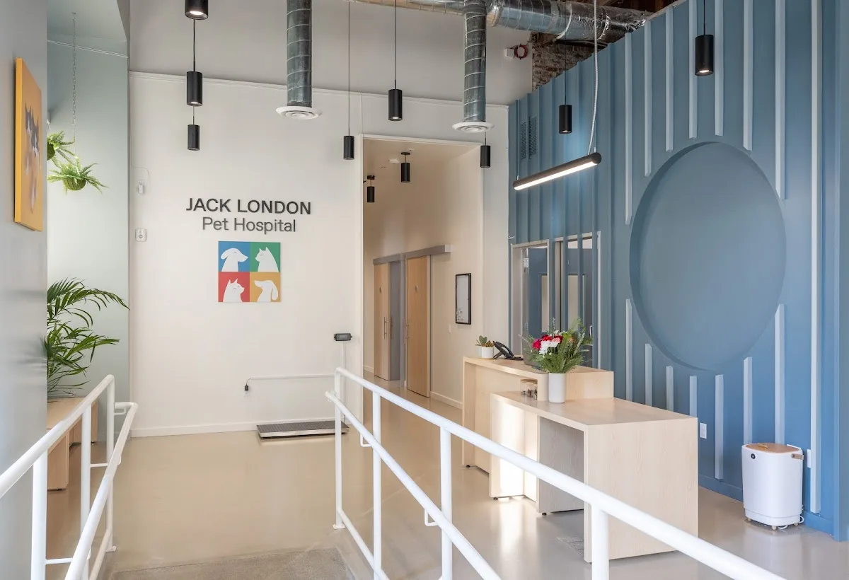 Jack London Pet Hospital