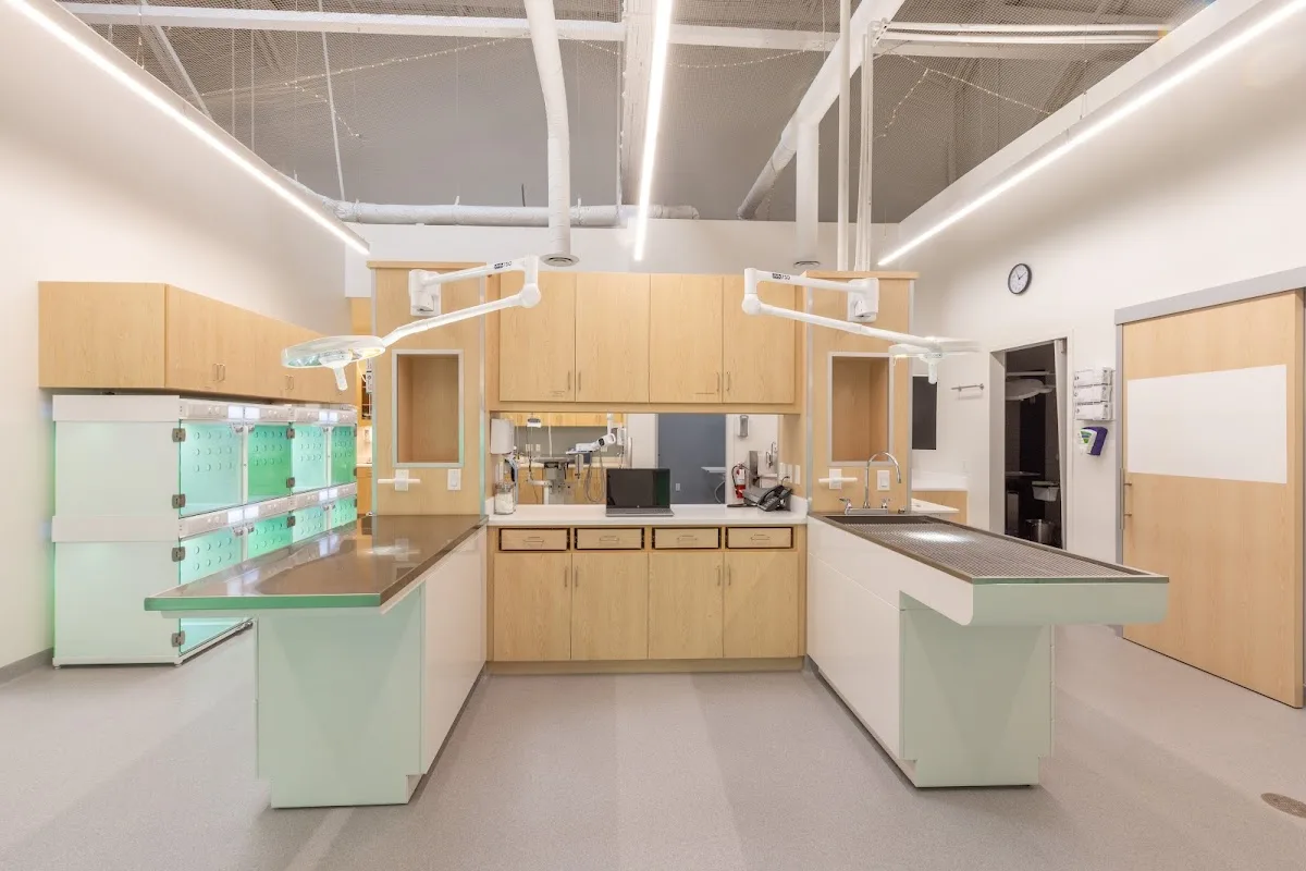 Jack London Pet Hospital