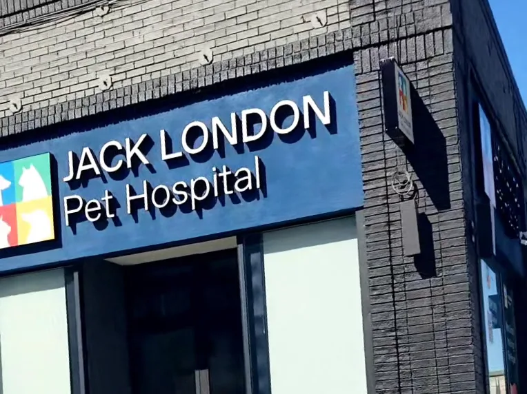 Jack London Pet Hospital