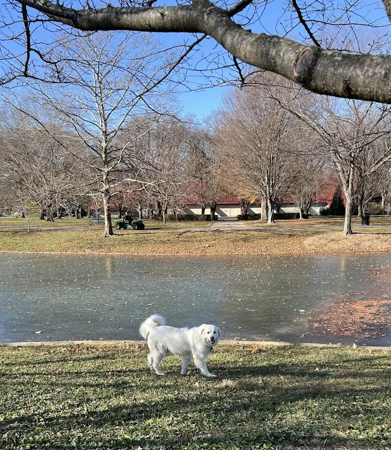 James Herriot Memorial Veterinary Hospital