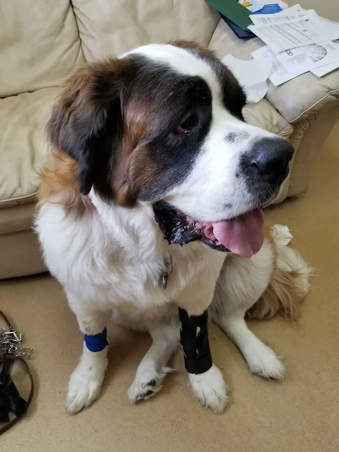 Jennifer Kendrick, DVM