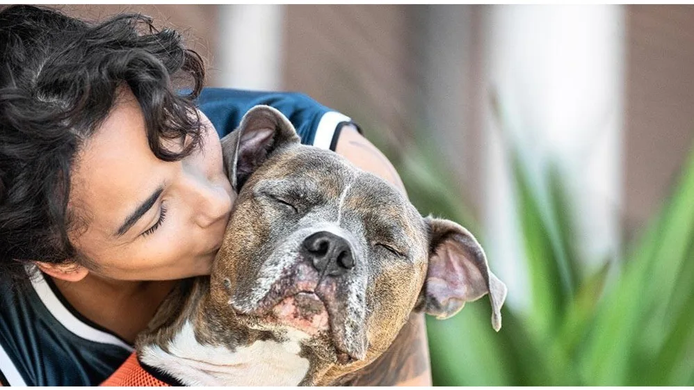 Johnston Ri Banfiled Animal Hospital