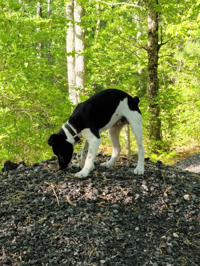 Johnston Ri Banfiled Animal Hospital