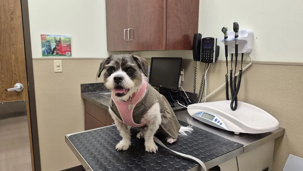 Joseph A. Strasser Regional Veterinary Hospital