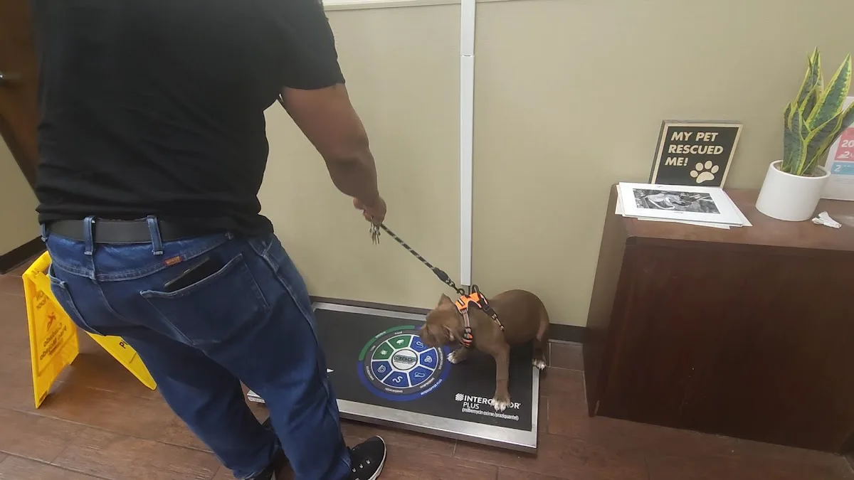 Joseph A. Strasser Regional Veterinary Hospital