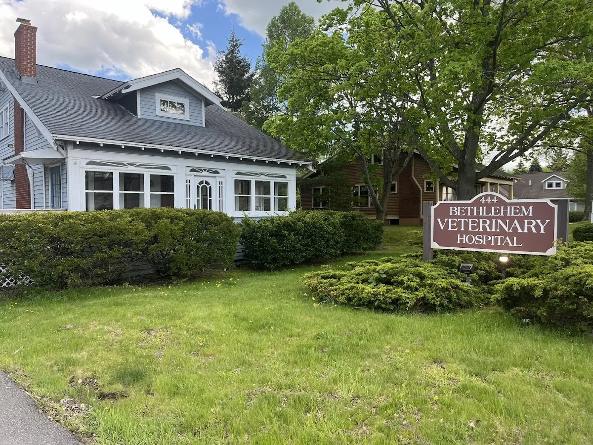 Kearney John DVM in Glenmont, NY: Hours, Services, and What to Bring for Your Visit