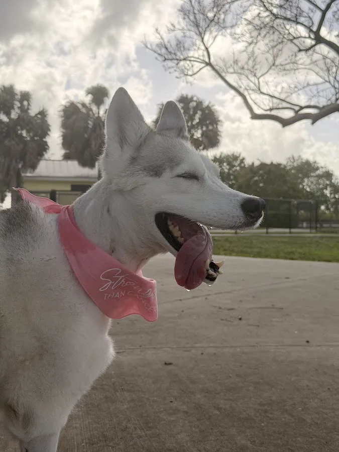 Kendall Pointe Animal Hospital (Emergency 24/7)