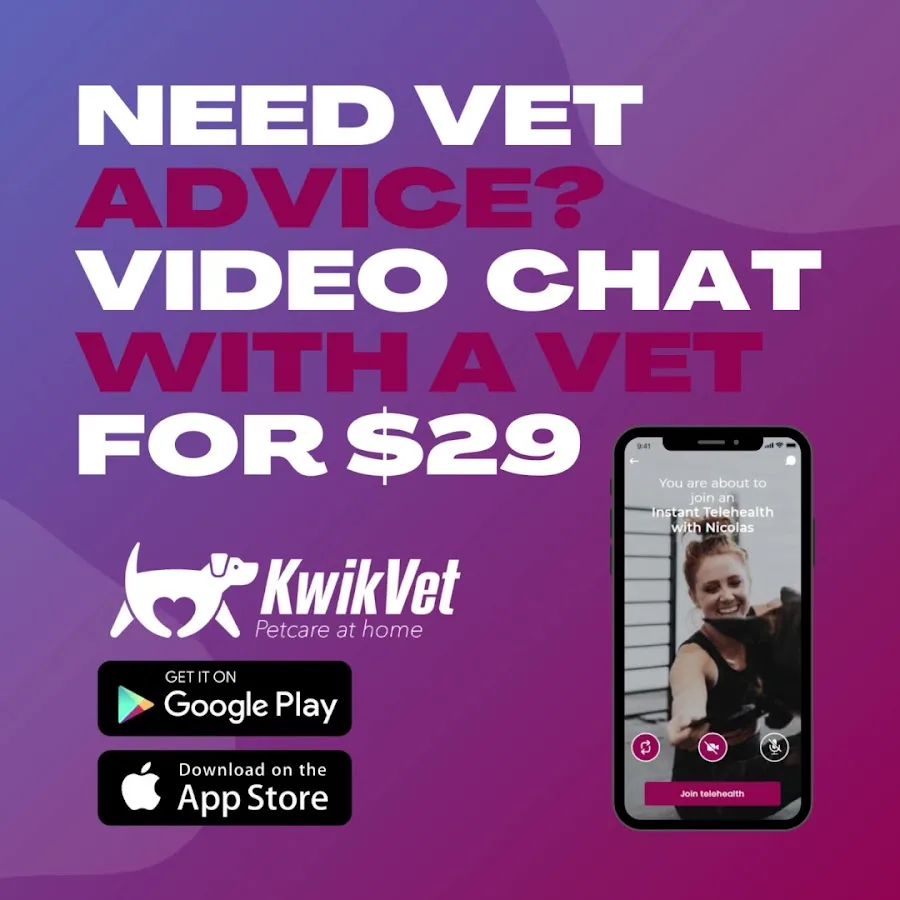KwikVet - 24 hour veterinarians