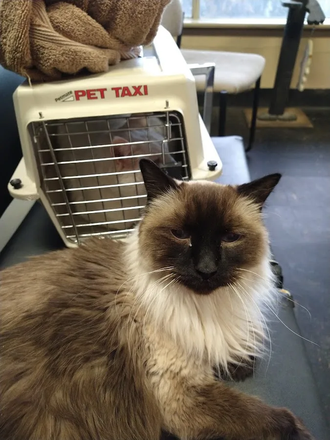 Lake Elmo Veterinary Clinic