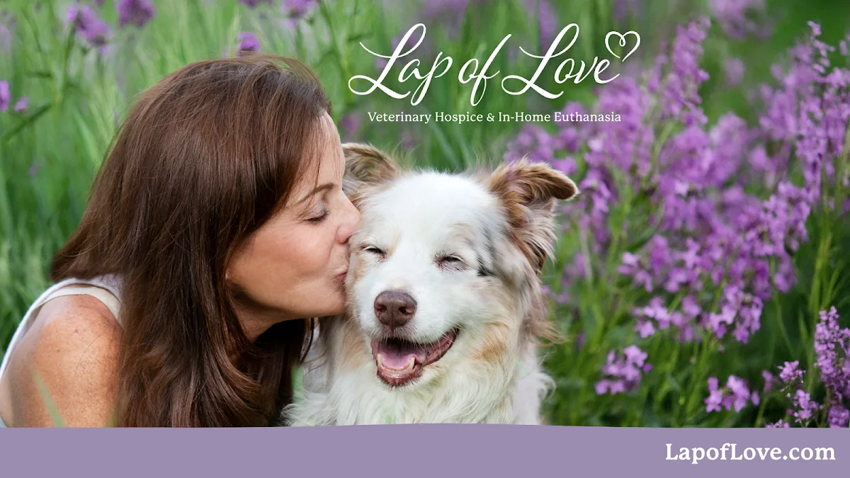 Lap of Love - Dayton