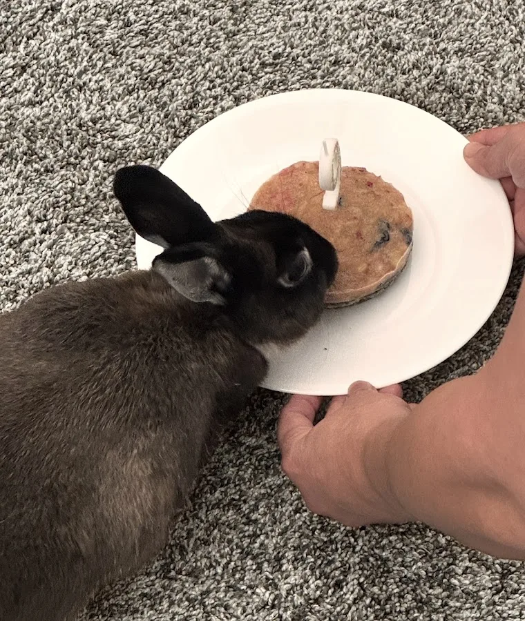 Lap of Love - Inland Empire