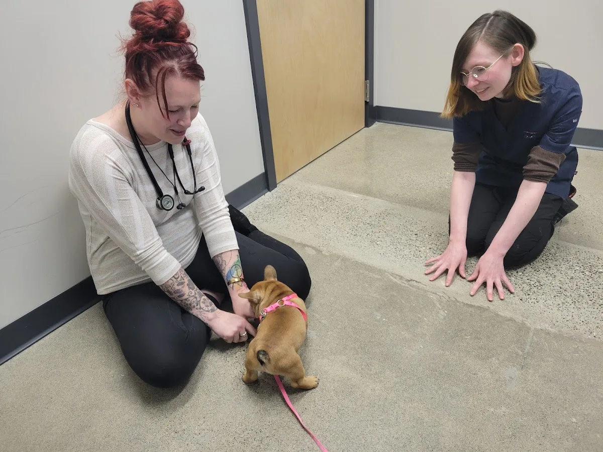 Lazy K9 Veterinary Services LLC