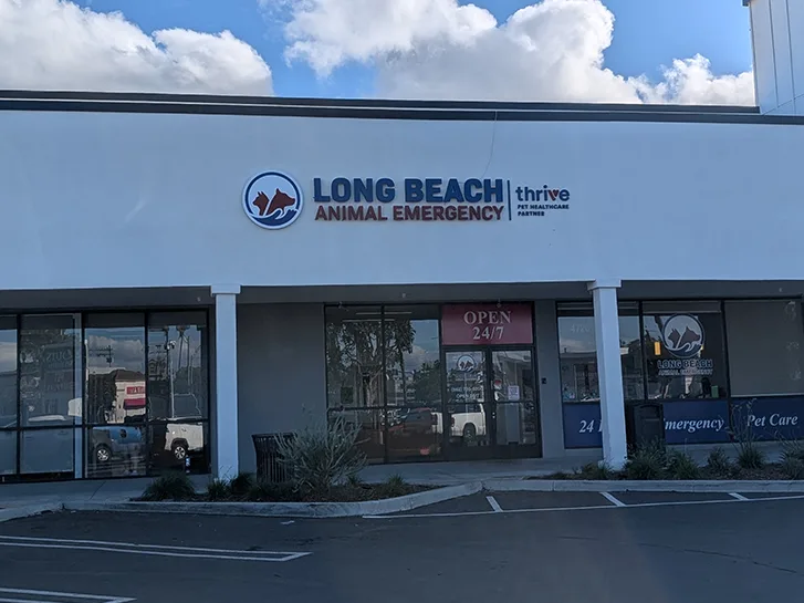 Long Beach Animal Emergency primary photo