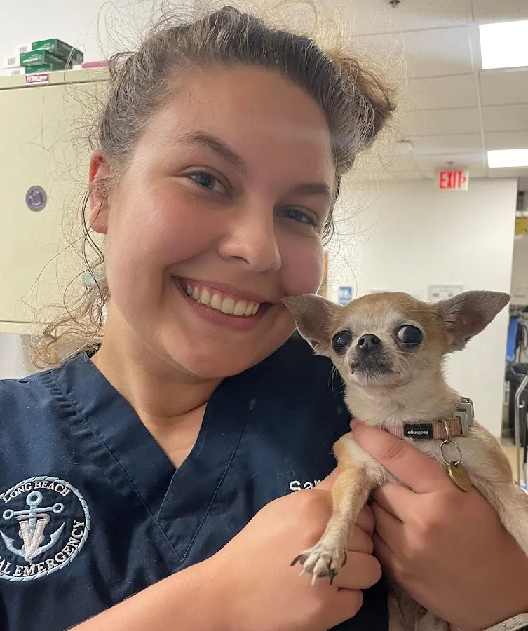 Long Beach Animal Emergency