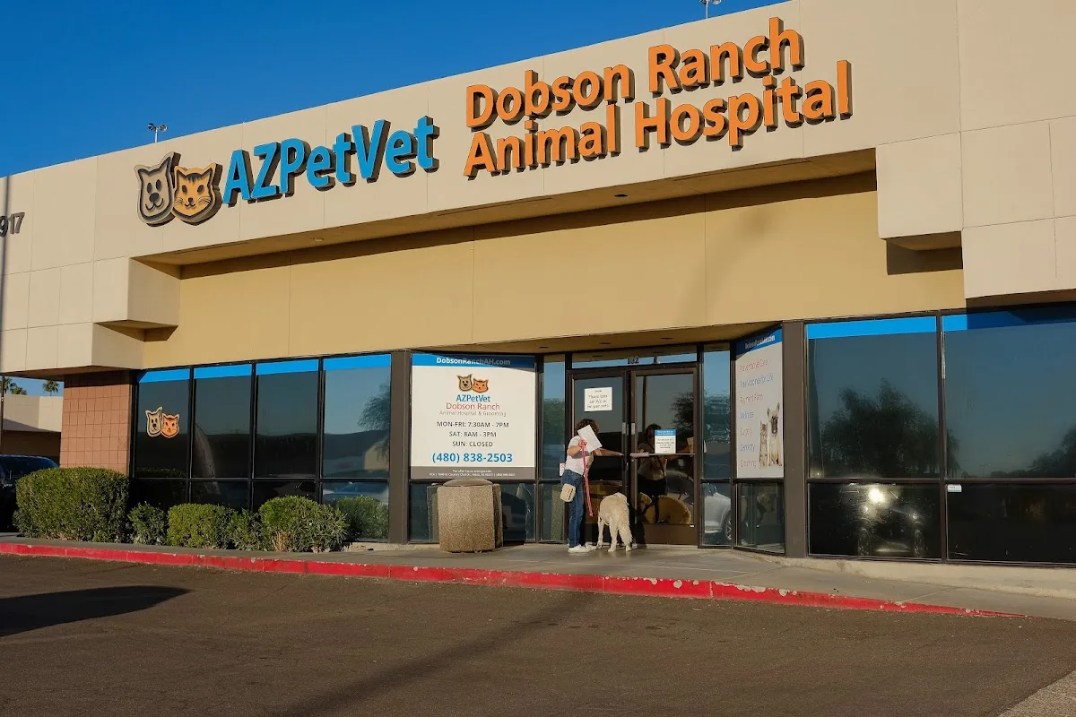 Lovet Pet Health Care - Dobson Ranch primary photo