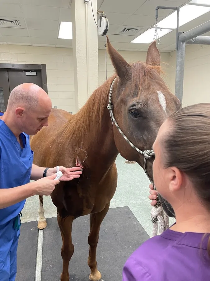 LSU Large Animal Clinic