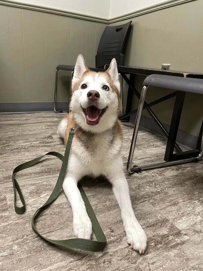 LSU Large Animal Clinic