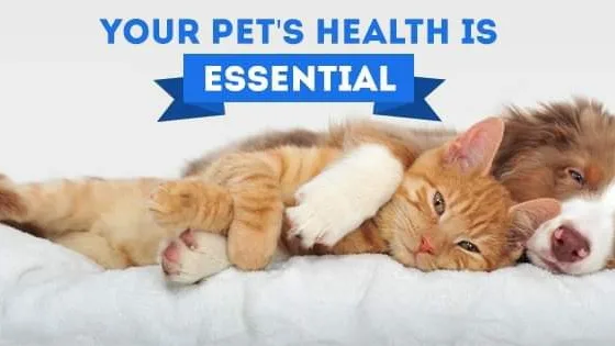 Madison Veterinary Clinic Ltd