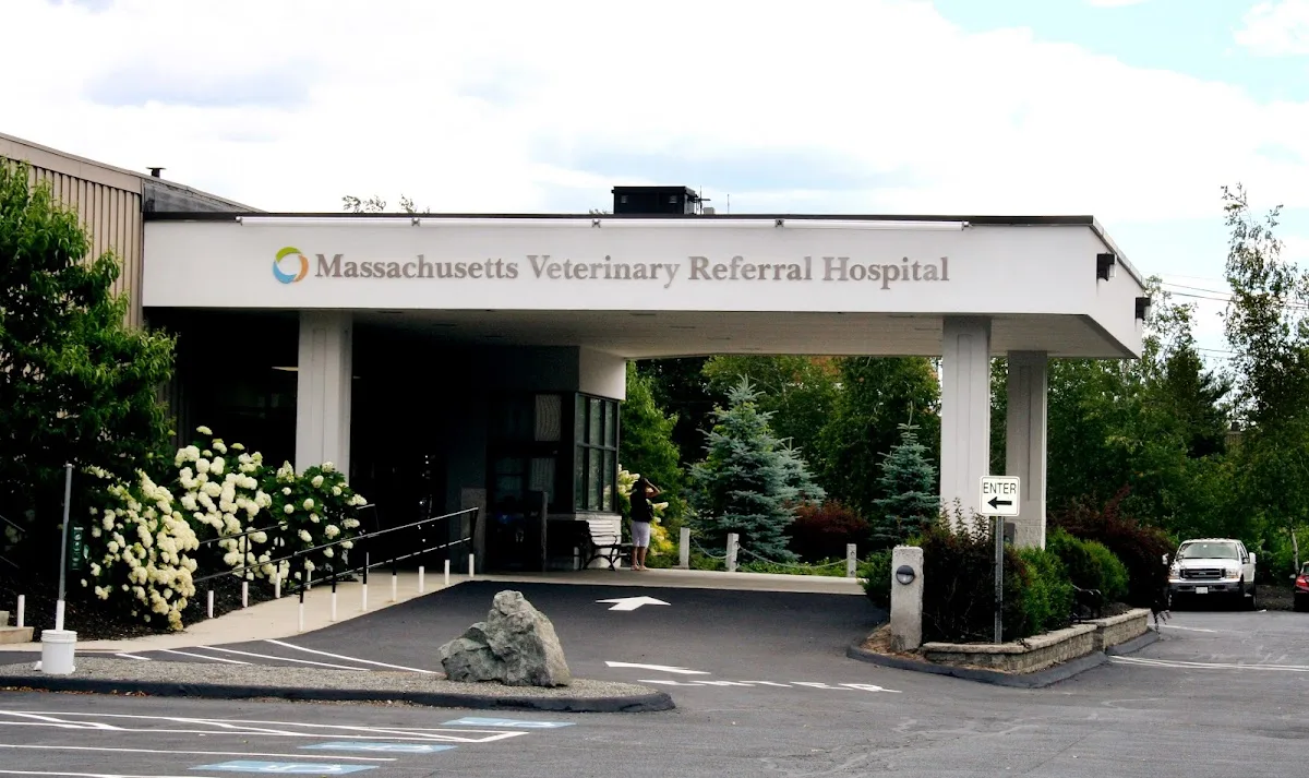 Massachusetts Veterinary Referral Hospital