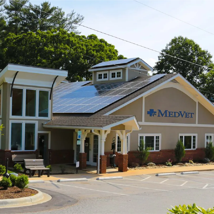 MedVet Asheville