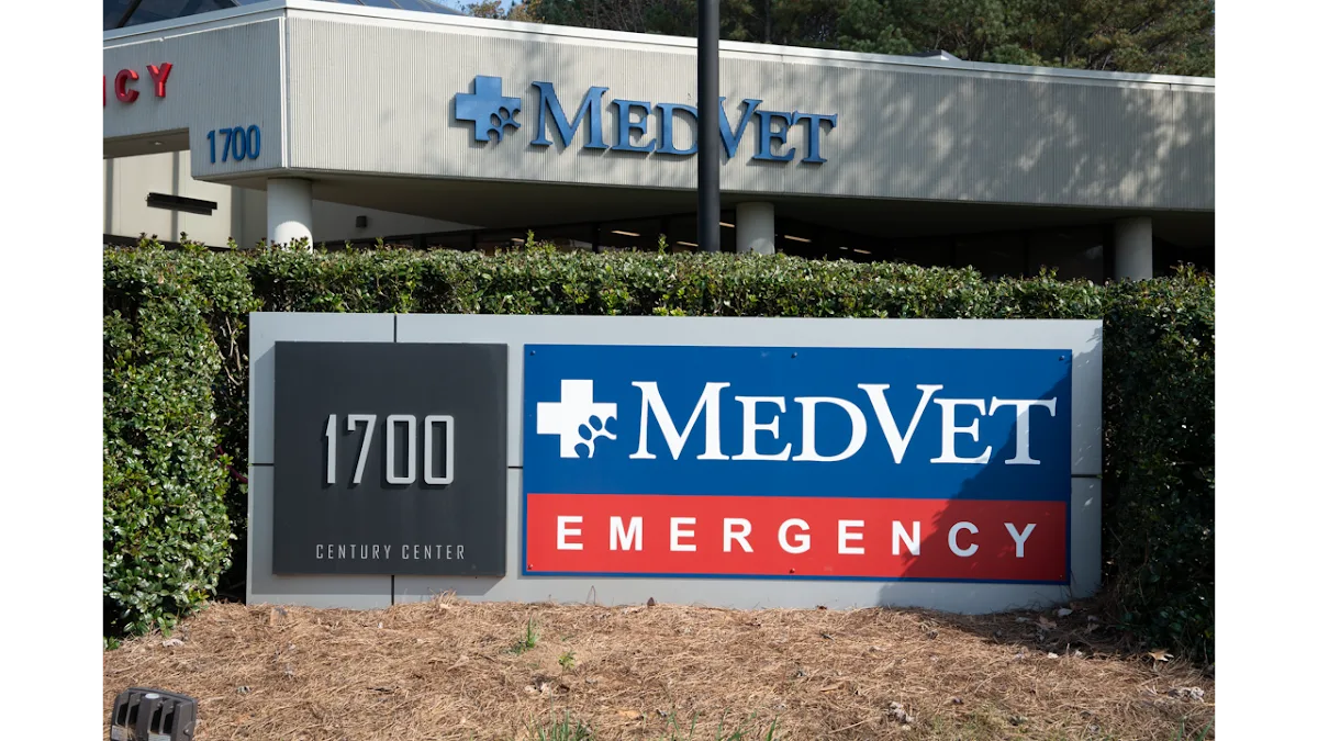 MedVet Atlanta