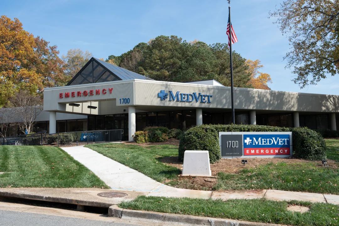 MedVet Atlanta