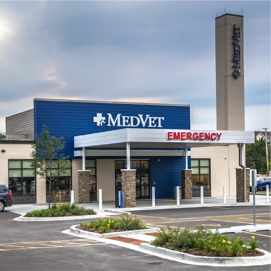 MedVet Chicago