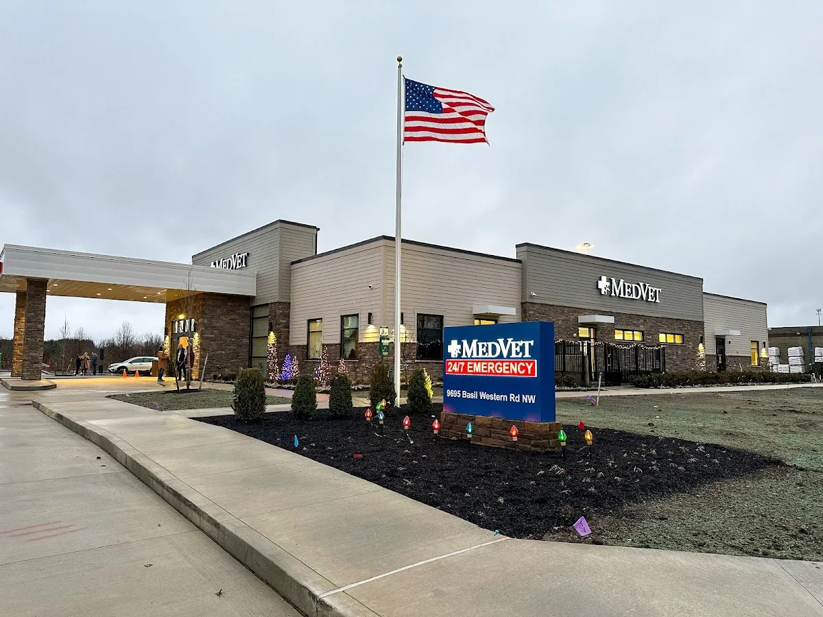 MedVet Diley Hill primary photo