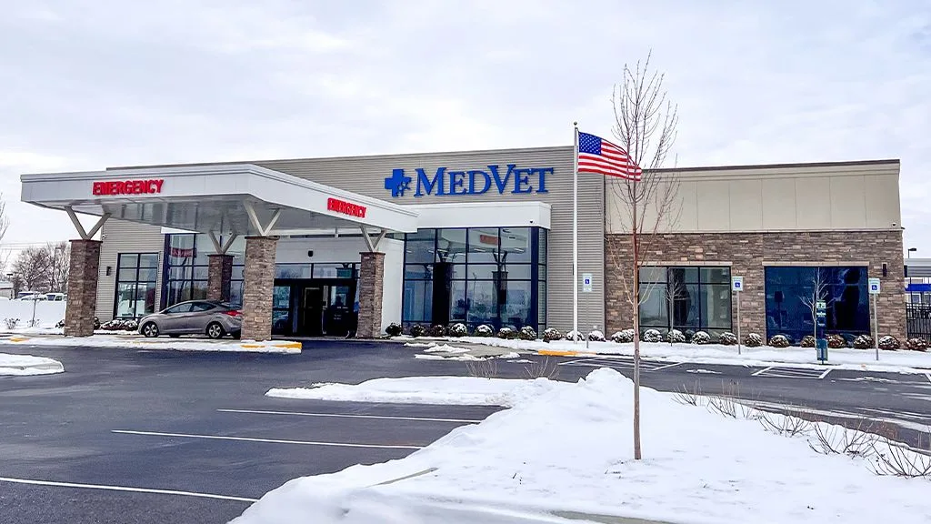 MedVet Hilliard primary photo