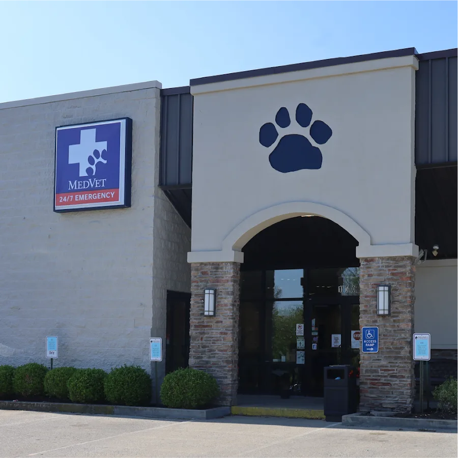 MedVet Lexington