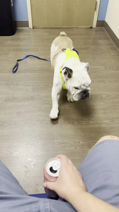 MedVet Salt Lake City