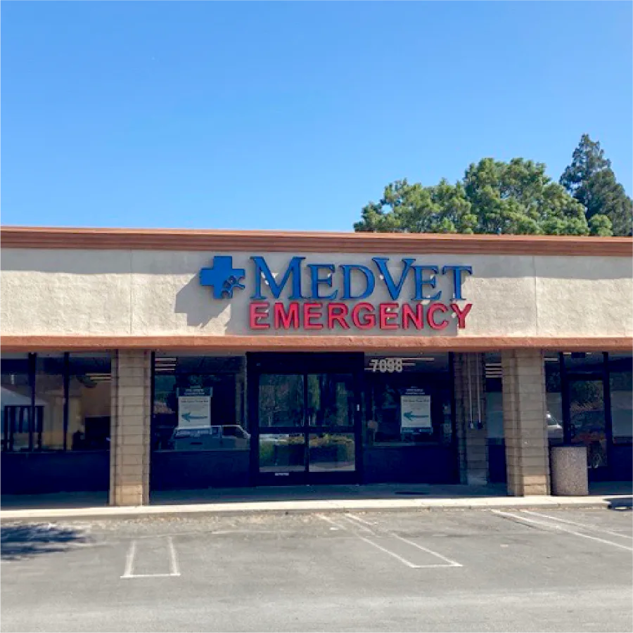 MedVet Silicon Valley primary photo