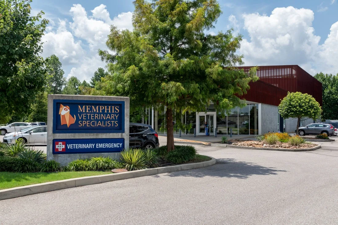 Memphis Veterinary Specialists