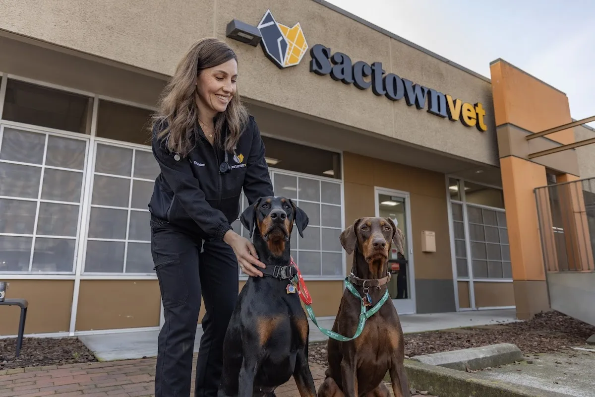 Mercer Veterinary Clinic