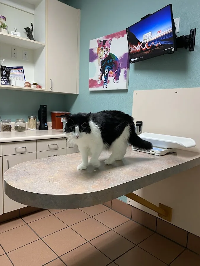 Mercer Veterinary Clinic