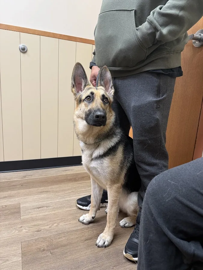 Metairie Small Animal Hospital