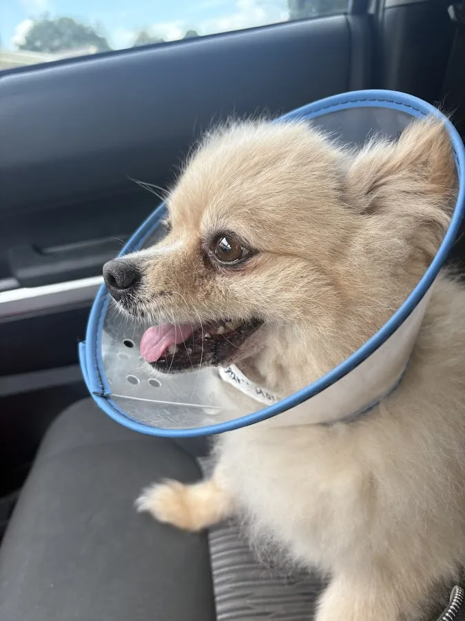 Metairie Small Animal Hospital