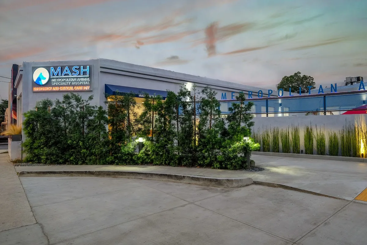 Metropolitan Animal Specialty Hospital (MASH)