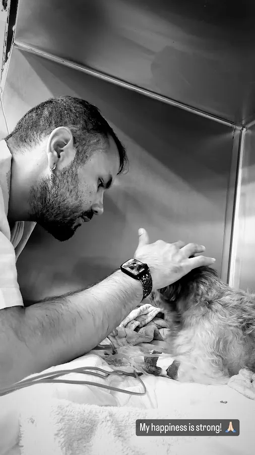 Miami Veterinary Specialists: Emergency Room