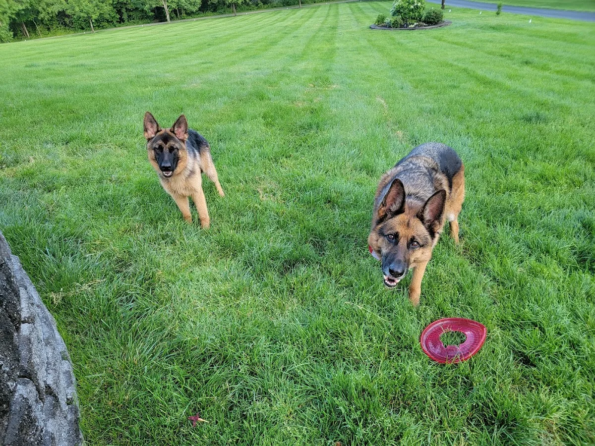 Milbury Animal Clinic